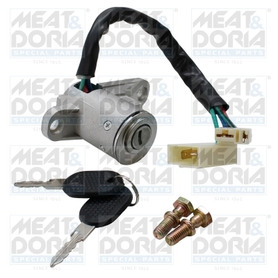 Steering Lock